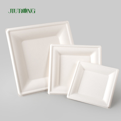 Pelat Kertas Kraft Sekali Pakai Biodegradable Untuk Cetak Kustom Massal Pesta