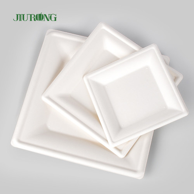 Pelat Kertas Kraft Sekali Pakai Biodegradable Untuk Cetak Kustom Massal Pesta