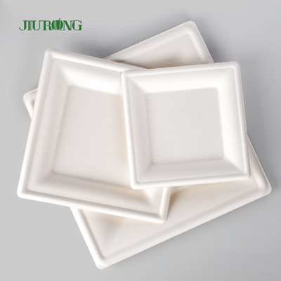 Pelat Kertas Kraft Sekali Pakai Biodegradable Untuk Cetak Kustom Massal Pesta