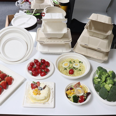 Wadah Makanan Tebu Bagasse