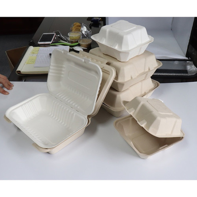 Wadah Makanan Tebu Bagasse