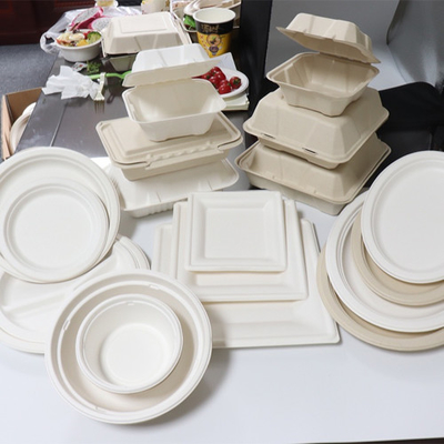 Wadah Makanan Tebu Bagasse