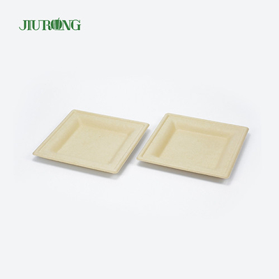 Wadah Makanan Tebu Sekali Pakai Ramah Lingkungan Biodegradable Bagasse Sushi Tray