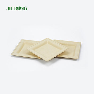 Wadah Makanan Tebu Sekali Pakai Ramah Lingkungan Biodegradable Bagasse Sushi Tray