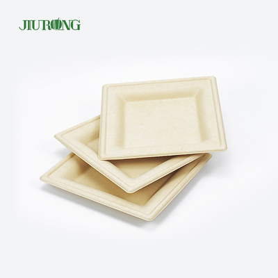 Wadah Makanan Tebu Sekali Pakai Ramah Lingkungan Biodegradable Bagasse Sushi Tray