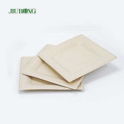 Matt Lamination Tebu Wadah Makanan Kertas Putih Piring Makan Jiurong