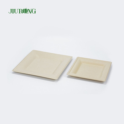 Matt Lamination Tebu Wadah Makanan Kertas Putih Piring Makan Jiurong
