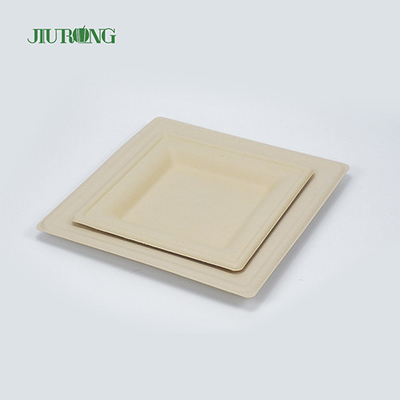 Matt Lamination Tebu Wadah Makanan Kertas Putih Piring Makan Jiurong