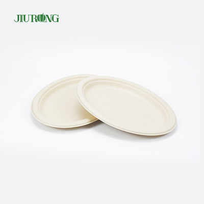 Mie kemasan makanan tebu Biodegradable Disposable Matt Lamination