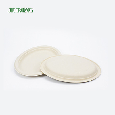 Mie kemasan makanan tebu Biodegradable Disposable Matt Lamination