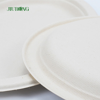 Mie kemasan makanan tebu Biodegradable Disposable Matt Lamination