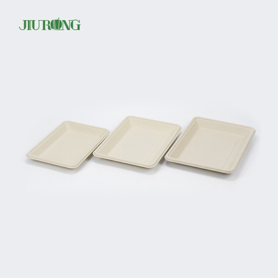 Piring tebu biodegradable Persegi Sekali Pakai 160mm untuk Roti Hamburger