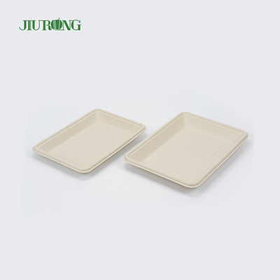 Piring tebu biodegradable Persegi Sekali Pakai 160mm untuk Roti Hamburger