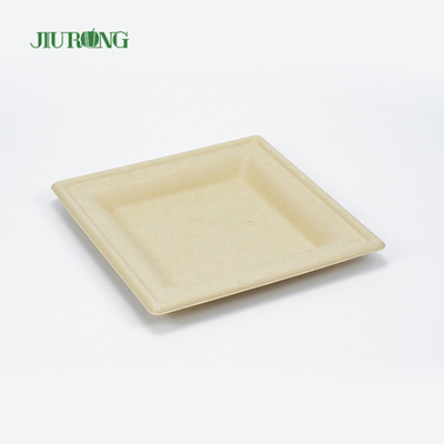 Wadah Makanan Tebu Sekali Pakai Ramah Lingkungan Biodegradable Bagasse Sushi Tray